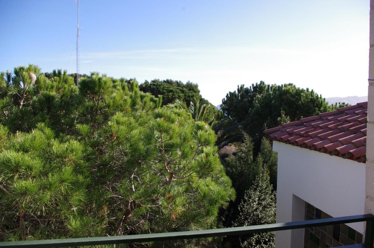 Apartaments Falcó Llançà Exterior foto