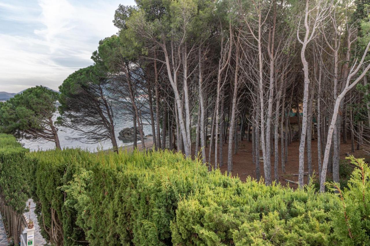 Apartaments Falcó Llançà Exterior foto